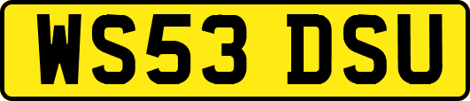 WS53DSU