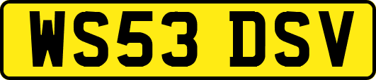 WS53DSV