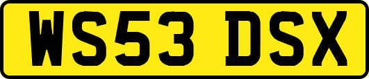 WS53DSX