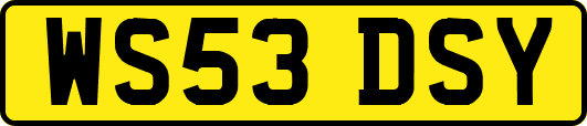WS53DSY