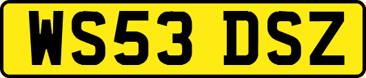 WS53DSZ