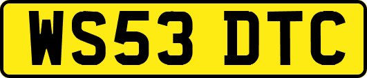 WS53DTC