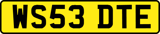WS53DTE