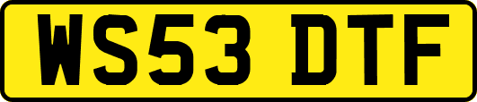 WS53DTF