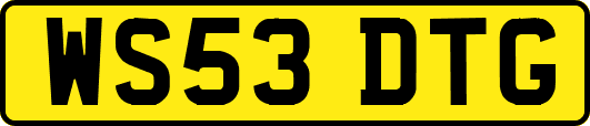 WS53DTG