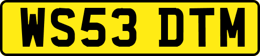 WS53DTM