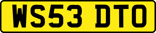 WS53DTO