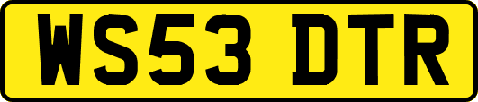 WS53DTR