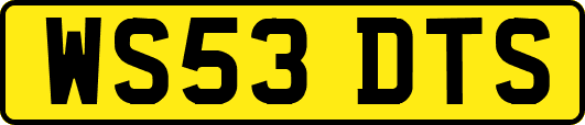 WS53DTS