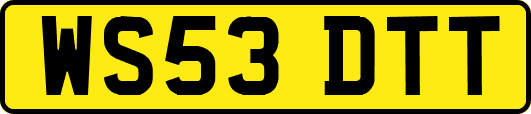 WS53DTT