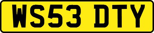 WS53DTY