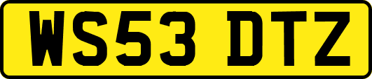WS53DTZ