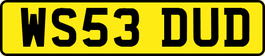 WS53DUD