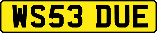 WS53DUE
