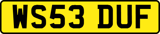 WS53DUF