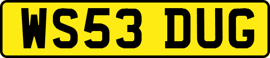 WS53DUG