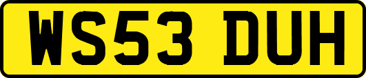 WS53DUH