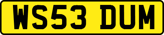 WS53DUM