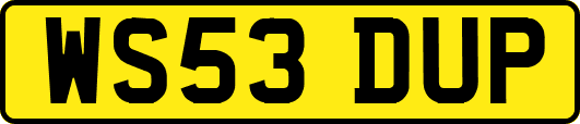 WS53DUP