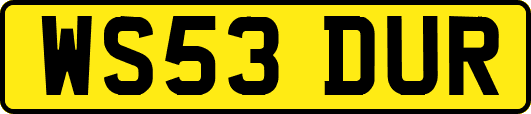 WS53DUR