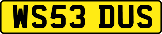 WS53DUS