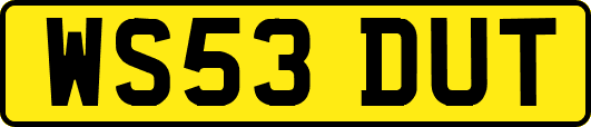 WS53DUT