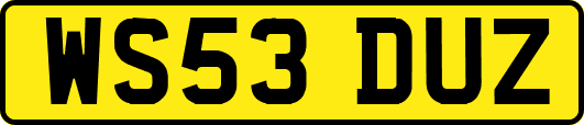 WS53DUZ
