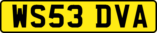 WS53DVA
