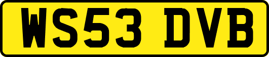 WS53DVB