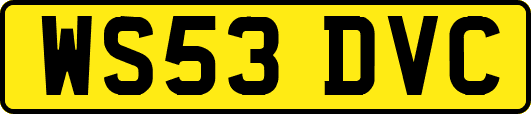 WS53DVC