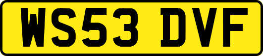 WS53DVF