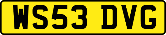 WS53DVG