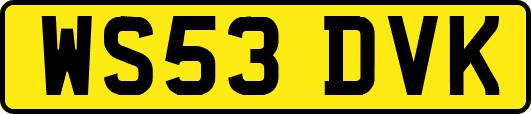 WS53DVK