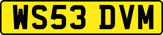 WS53DVM