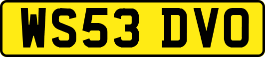 WS53DVO