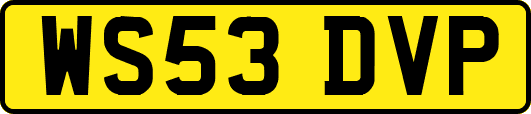 WS53DVP