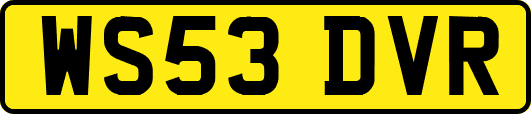 WS53DVR