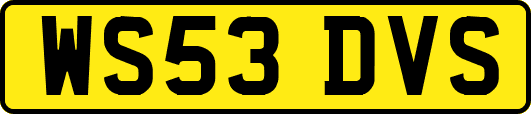 WS53DVS