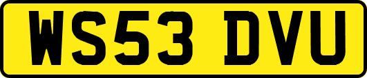 WS53DVU