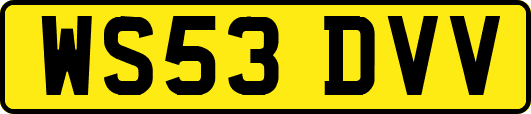 WS53DVV