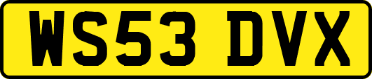 WS53DVX