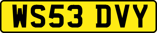 WS53DVY