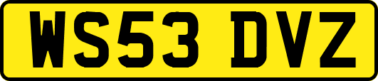 WS53DVZ