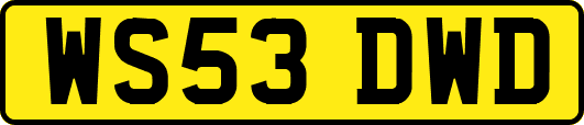 WS53DWD