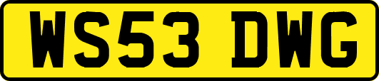 WS53DWG