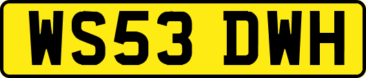 WS53DWH
