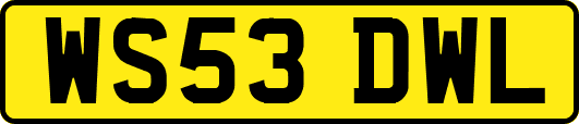 WS53DWL