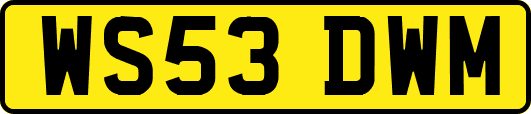 WS53DWM