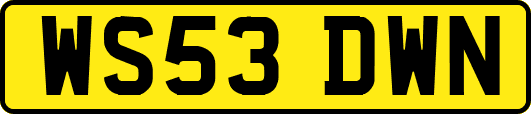 WS53DWN