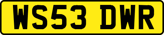 WS53DWR